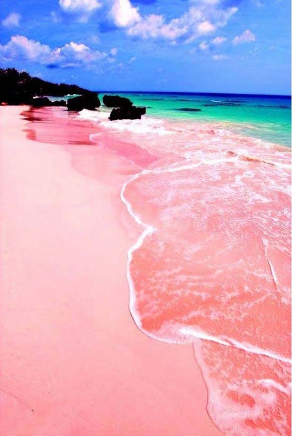 الشاطيء الوردي في جزيرة برمودا