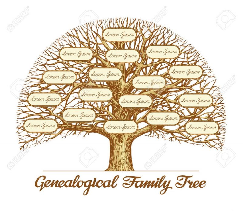شجرة العائلات المصرية
