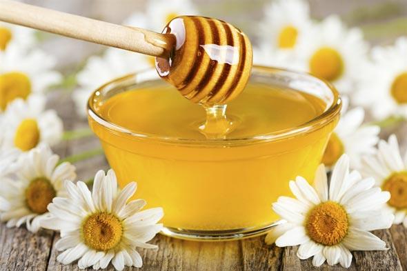 بعض الحقائق عن العسل: