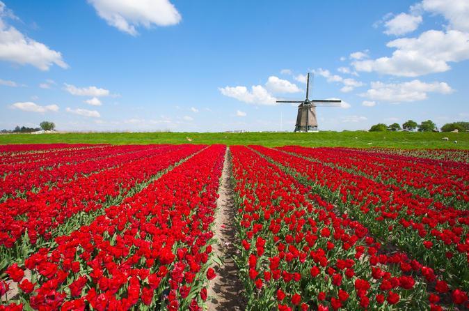 الريف الهولندي