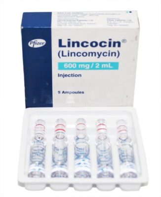 دواعي استخدام دواء لينكوسين