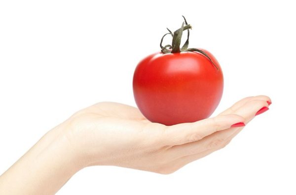 مما تكون ثمرة الطماطم ؟