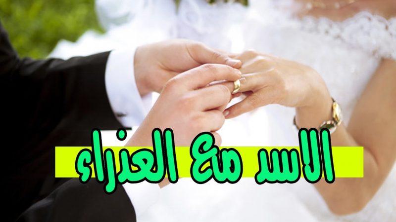 توافق برج العذراء مع الاسد في الزواج