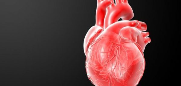 كيفية تشخيص أسباب ألم القلب المفاجئ