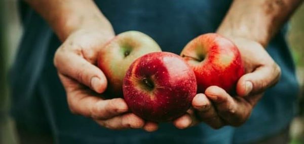 تفسير حلم اعطاء التفاح في المنام للمتزوجة